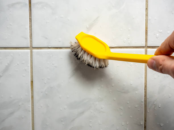 Best Black Mold Removal  in Ault, CO